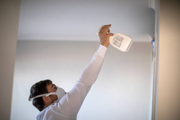 Best Mold Testing  in Lantana, TX