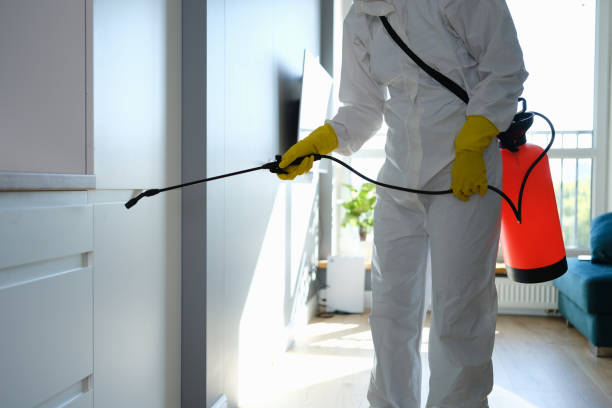 Water Damage Restoration in Lantana, TX