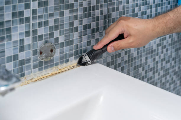 Reliable Lantana, TX Mold Removal Solutions
