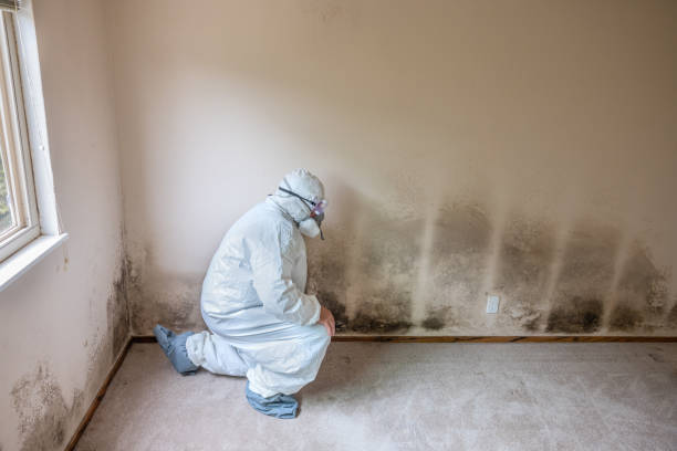 Best Crawl Space Mold Removal  in Lantana, TX